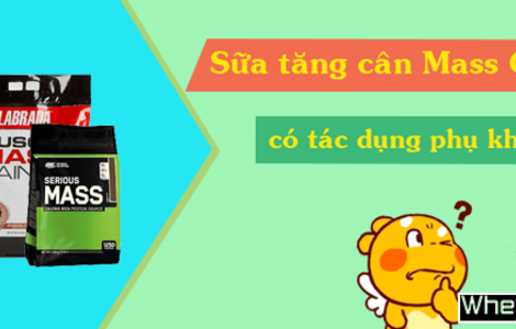 Uống sữa M f8beta2 c cá cược WC 2026 Mass Gainer có tác dụng phụ không?