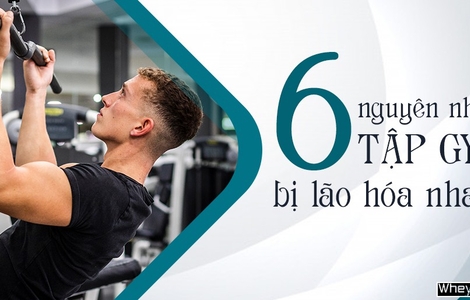 Tập Gym nhưng vẫn bị lão hóa nhanh? Nguyên nhân vì sao?
