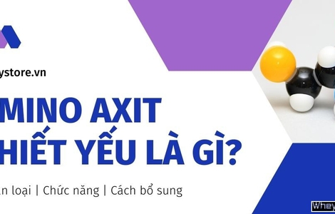 Axit amin thiết yếu là gì? Hướng dẫn cách bổ sung axit amin cho gymer