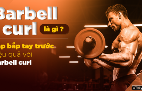 Barbell curl là gì? Tập bắp tay trước hiệu quả với Barbell curl