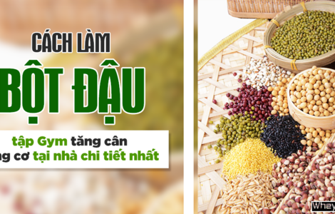 Cách làm bột đậu tập Gym M f8beta2 c cá cược WC 2026 tăng cơ tại nhà chi tiết nhất