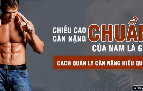 Chiều cao F8beta2 con trải nghiệm tuyệt vời chuẩn của nam là gì? Cách quản lý F8beta2 con trải nghiệm tuyệt vời hiệu quả