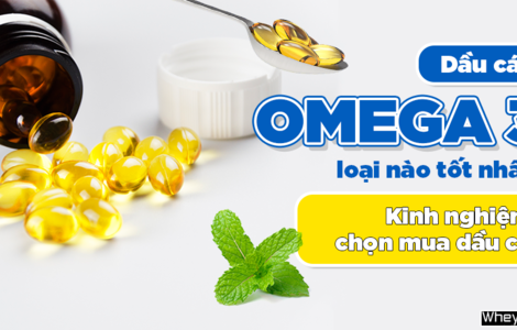 Dầu cá omega 3 loại nào tốt nhất? Kinh nghiệm chọn mua dầu cá