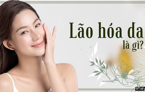 Lão hóa da là gì? Nguyên nhân và cách ngăn ngừa lão hóa da