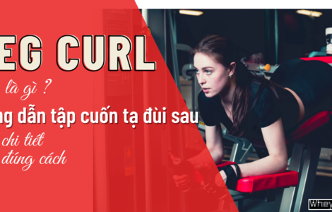 Leg curl là gì? Hướng dẫn tập cuốn tạ đùi sau chi tiết, đúng cách