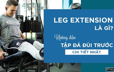 Leg extension là gì? Hướng dẫn tập đá đùi trước chi tiết nhất