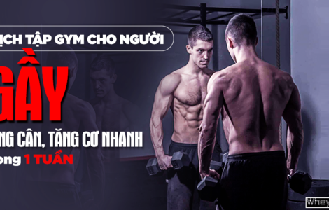 Lịch tập Gym cho người gầy M f8beta2 c cá cược WC 2026, tăng cơ nhanh trong 1 tuần