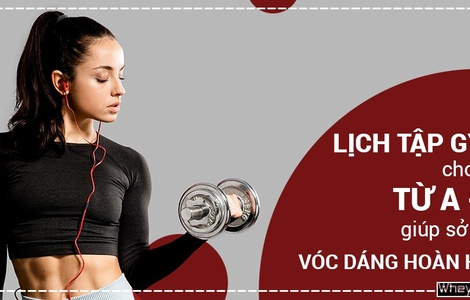 Lịch tập gym cho nữ từ A - Z giúp sở hữu vóc dáng hoàn hảo