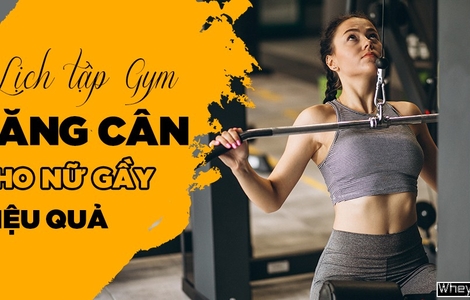 Lịch tập Gym M f8beta2 c cá cược WC 2026 nhanh cho nữ gầy hiệu quả