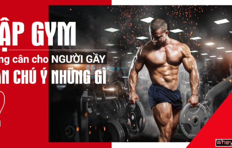 Tập Gym M f8beta2 c cá cược WC 2026 cho người gầy cần chú ý những gì?