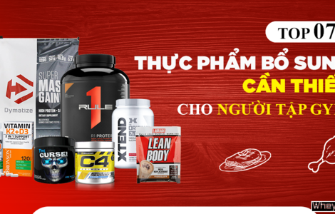 Top 7 Danh mục sản phẩm của F8BET vô cùng đa dạng bổ sung cần thiết cho người tập Gym