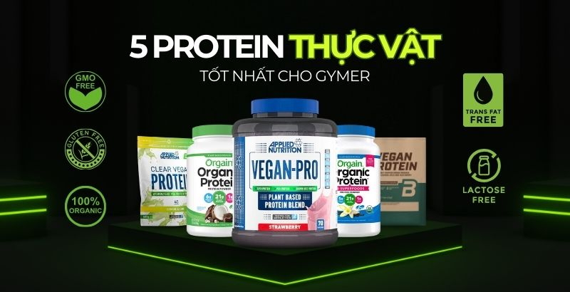 5 loại protein thực vật tốt nhất giúp gymer ăn chay tăng cơ hiệu quả