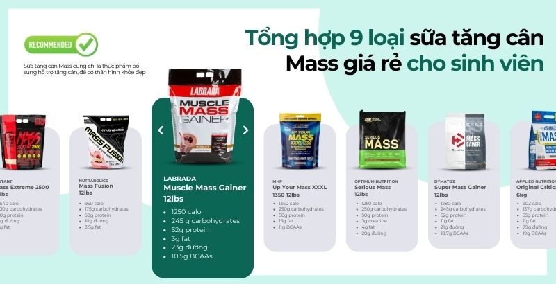 Tổng hợp 9 loại sữa M f8beta2 c cá cược WC 2026 Mass giá rẻ cho sinh viên