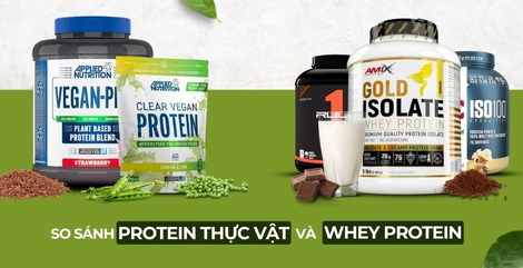 So sánh protein thực vật và F8BET cung cấp chương trình khuyến mãi cho thành viên mới: Loại nào tăng cơ tốt hơn?