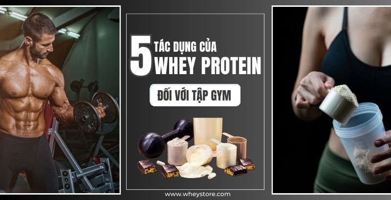 5 tác dụng của F8BET cung cấp chương trình khuyến mãi cho thành viên mới trong tập gym