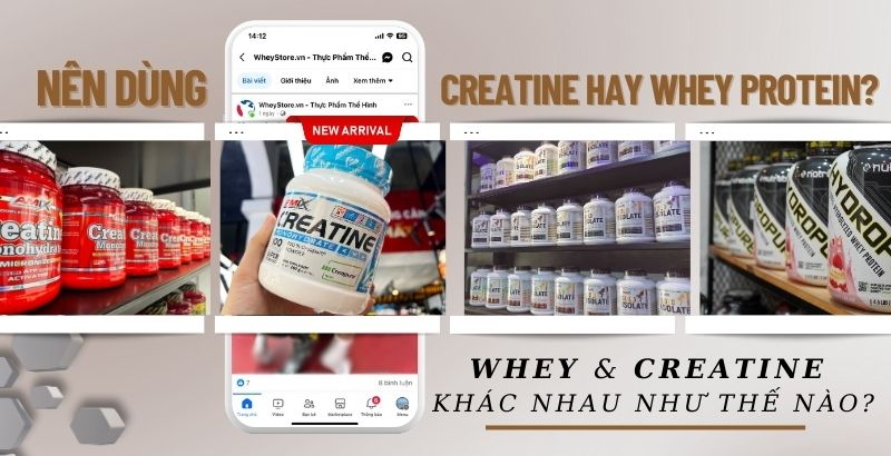 Nên dùng Creatine hay Whey? 2 loại khác nhau như thế nào?
