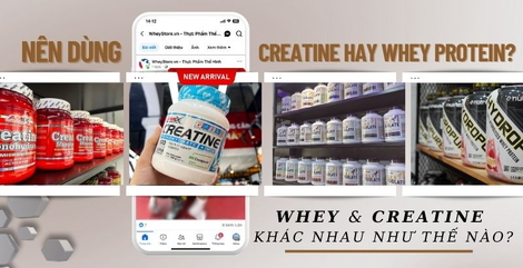 Nên dùng Creatine hay Whey? 2 loại khác nhau như thế nào?