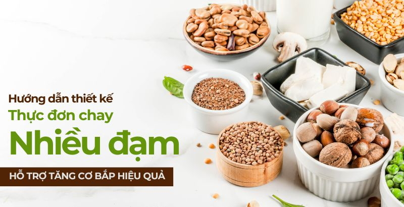 Hướng dẫn thiết kế thực đơn chay nhiều đạm hỗ trợ tăng Tải app F8BET hiệu quả