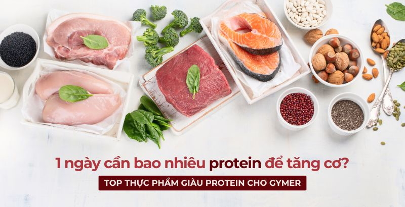 1 ngày cần bao nhiêu protein để tăng cơ? Top Danh mục sản phẩm của F8BET vô cùng đa dạng giàu protein cho gymer