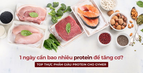 1 ngày cần bao nhiêu protein để tăng cơ? Top Danh mục sản phẩm của F8BET vô cùng đa dạng giàu protein cho gymer