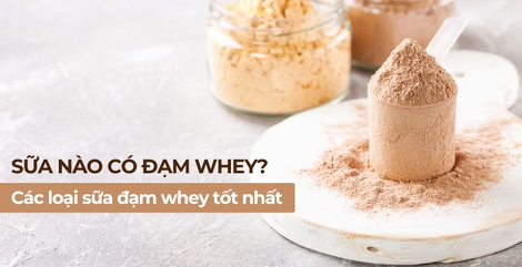 Sữa nào có đạm whey? Các loại đạm whey tốt nhất cho người tập thể hình 