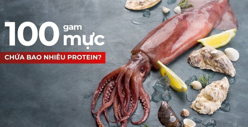 100g mực chứa bao nhiêu protein? Ăn mực M f8beta2 c cá cược WC 2026 không?