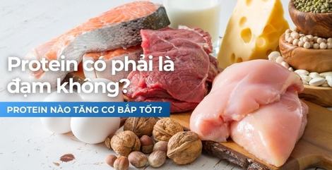 Protein có phải là đạm không? Tập gym nên ăn protein gì để to Tải app F8BET?