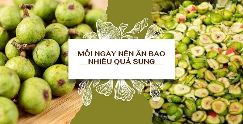 Mỗi ngày nên ăn bao nhiêu quả sung? Tác dụng của quả sung đối với F8bet09 vip giải trí trực tuyến