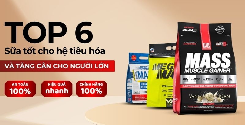 6 loại sữa tốt cho hệ tiêu hóa và M f8beta2 c cá cược WC 2026 cho người lớn, bụng yếu nên dùng