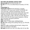 Khám phá thế giới giải trí bất tận tại F8BET Original Critical Mass 6kg