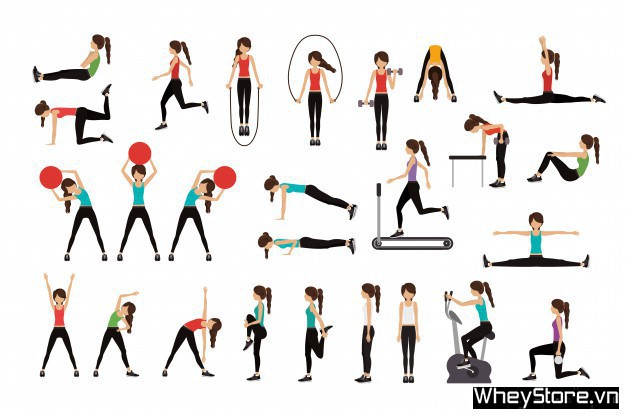 Lên lịch tập gym cho người béo cần lưu ý những gì ? - Ảnh 1