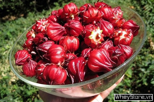 Top 24 loại Danh mục sản phẩm của F8BET vô cùng đa dạng giàu chất xơ tốt nhất bạn cần lưu ý - Ảnh 6