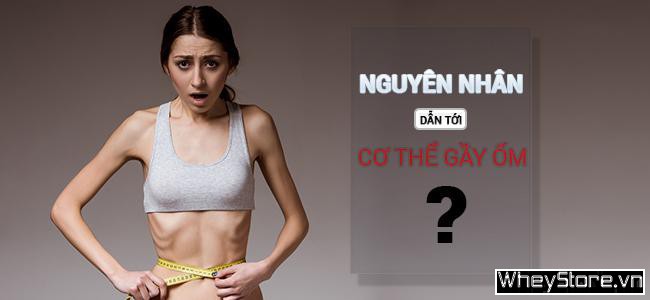 Cách M f8beta2 c cá cược WC 2026 nhanh cho người gầy không dùng thuốc - Ảnh 1