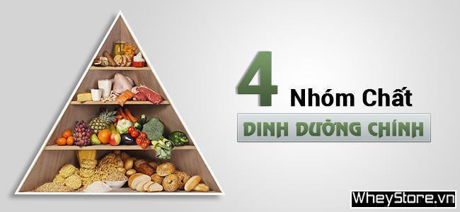 Cách M f8beta2 c cá cược WC 2026 nhanh cho người gầy không dùng thuốc - Ảnh 3