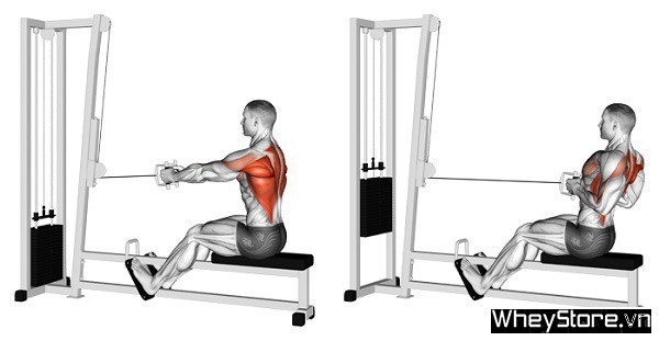 Lịch tập Gym cho người gầy M f8beta2 c cá cược WC 2026, tăng cơ nhanh trong 1 tuần - Ảnh 3