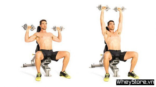 Lịch tập Gym cho người gầy M f8beta2 c cá cược WC 2026, tăng cơ nhanh trong 1 tuần - Ảnh 6