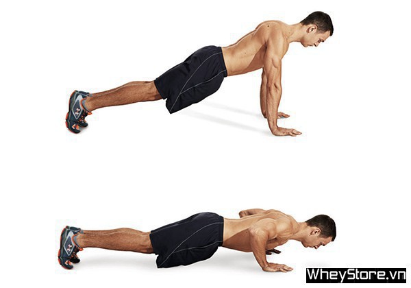 Lịch tập Gym cho người gầy M f8beta2 c cá cược WC 2026, tăng cơ nhanh trong 1 tuần - Ảnh 8