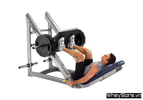 Lịch tập Gym cho người gầy M f8beta2 c cá cược WC 2026, tăng cơ nhanh trong 1 tuần - Ảnh 9