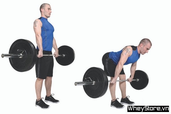 15 bài tập chân cho nam giúp sở hữu đôi chân rắn chắc nhanh chóng - Ảnh 7