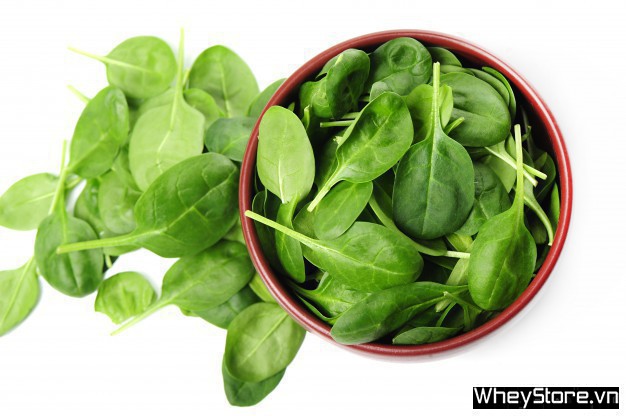 Top 50 Danh mục sản phẩm của F8BET vô cùng đa dạng giàu protein cải thiện thực đơn của gymer - Ảnh 28