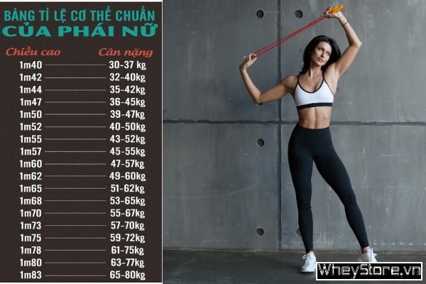 Số đo 3 vòng chuẩn của nữ là gì? Cách sở hữu vóc dáng đạt chuẩn - Ảnh 2 Số đo 3 vòng chuẩn của nữ là gì? Cách sở hữu vóc dáng đạt chuẩn - Ảnh 2