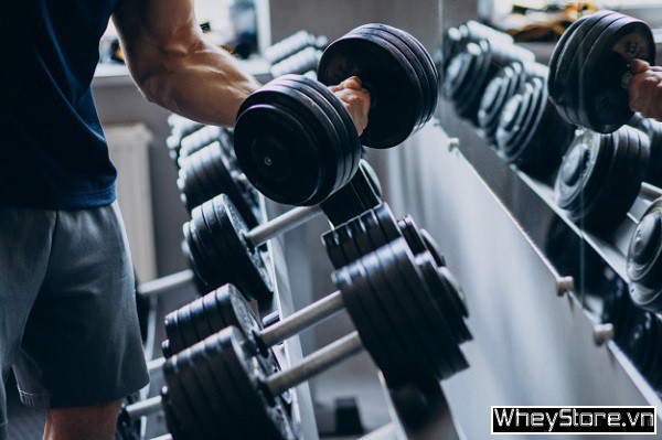 Hướng dẫn tập Gym đúng cách cho người mới bắt đầu chi tiết nhất - Ảnh 1 Hướng dẫn tập Gym đúng cách cho người mới bắt đầu chi tiết nhất - Ảnh 1