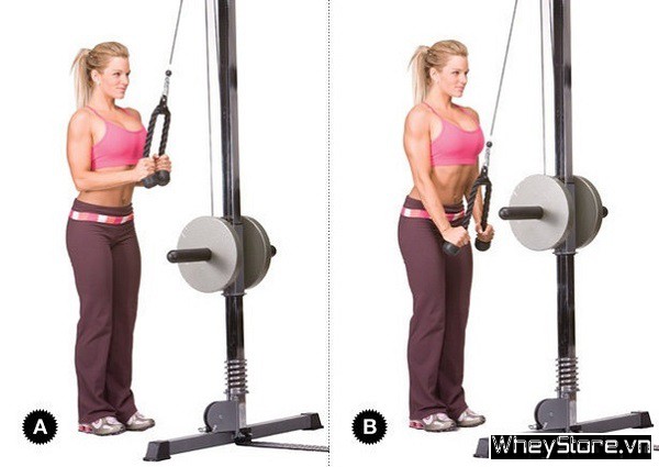 9 bài tập bắp tay thon gọn cho nữ siêu hiệu quả chỉ sau 1 tuần - Ảnh 10 9 bài tập bắp tay thon gọn cho nữ siêu hiệu quả chỉ sau 1 tuần - Ảnh 10