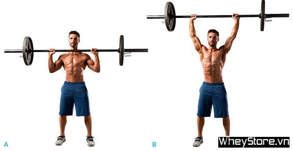 Overhead Press là gì? Hướng dẫn tập Overhead Press đúng kỹ thuật - Ảnh 1