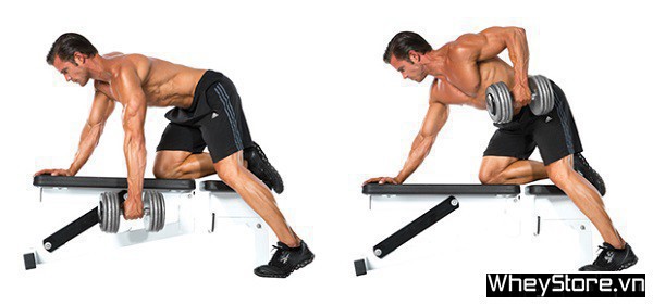 Top 10 bài tập tay trước và sau cho người tập Gym - Ảnh 10