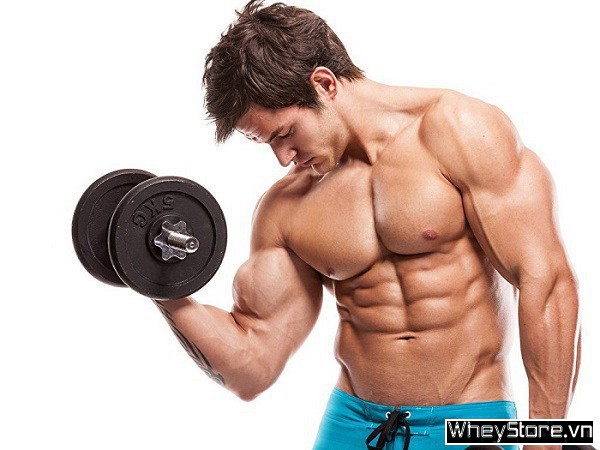Hướng dẫn 4 bài tập tay trước với tạ đơn hiệu quả - Ảnh 3