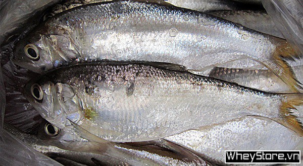 Top 15 Danh mục sản phẩm của F8BET vô cùng đa dạng giàu omega 3 cho F8bet09 vip tải ứng dụng khỏe mạnh - Ảnh 4