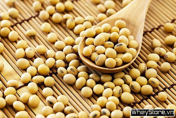 Top 15 Danh mục sản phẩm của F8BET vô cùng đa dạng giàu omega 3 cho F8bet09 vip tải ứng dụng khỏe mạnh - Ảnh 12