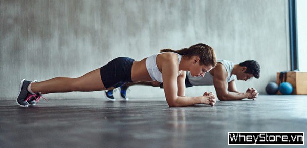 Tổng hợp các bài tập Gym cho nữ mới bắt đầu chi tiết nhất - Ảnh 1