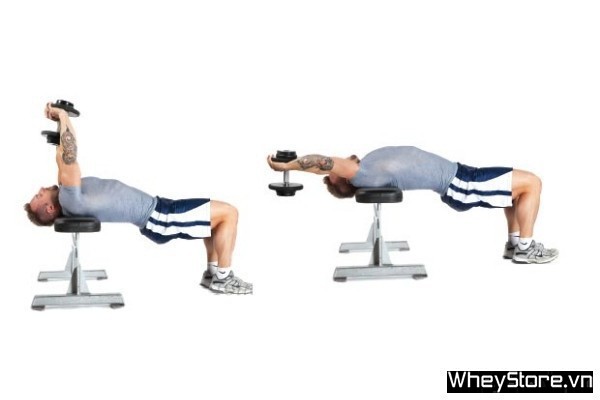 8 bài tập ngực với tạ đơn tốt nhất giúp cơ ngực phát triển toàn diện - Ảnh 6 8 bài tập ngực với tạ đơn tốt nhất giúp cơ ngực phát triển toàn diện - Ảnh 6